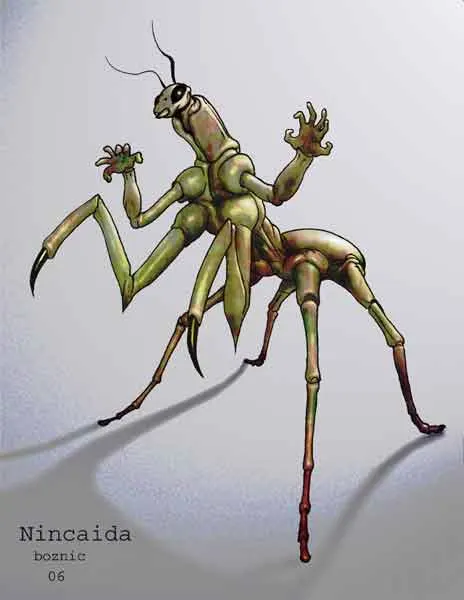 Nincaida. Nincaida, now known as Sycaridae.